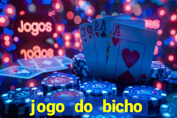 jogo do bicho crash bingo